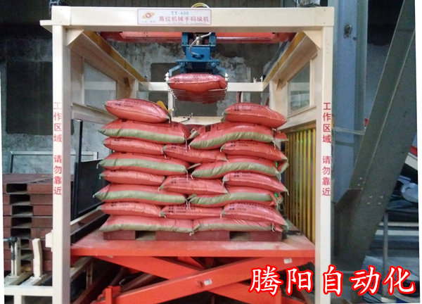 騰陽全自動碼垛機(jī)解決方案