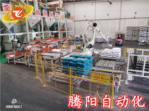 廠家直銷碼垛機(jī)器人/碼垛機(jī)械手/袋裝