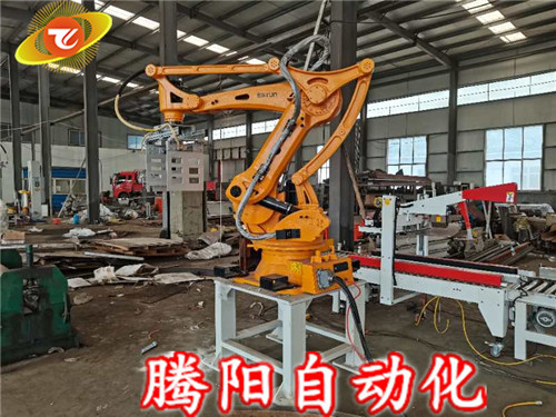 讓全自動碼垛機(jī)盡可能更好地為碼垛工業(yè)服務(wù)