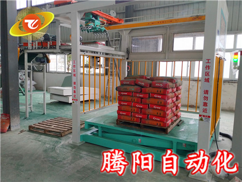 騰陽全自動碼垛機國產價格進口的質量