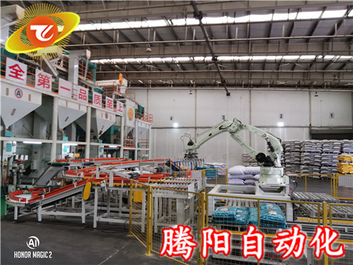 六軸機(jī)器人碼垛機(jī)的性能特點
