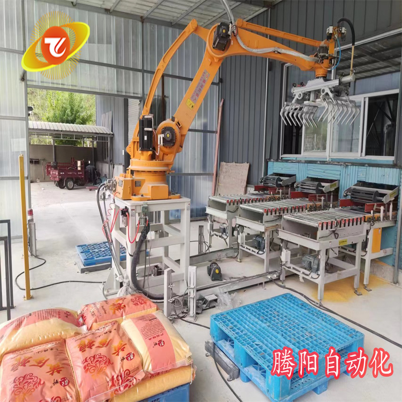 騰陽一機(jī)雙抓，雙工位碼垛機(jī)
